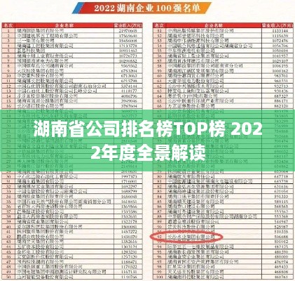 湖南省公司排名榜TOP榜 2022年度全景解读