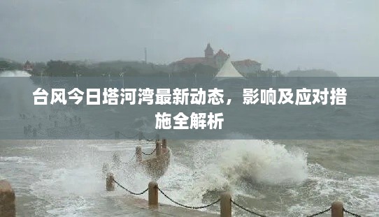 台风今日塔河湾最新动态，影响及应对措施全解析