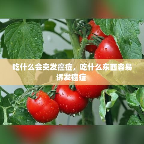 吃什么会突发癌症，吃什么东西容易诱发癌症 