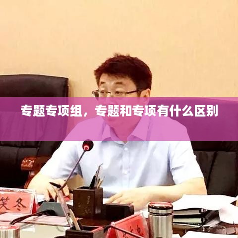 专题专项组，专题和专项有什么区别 