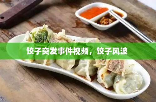 饺子突发事件视频，饺子风波 