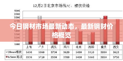 今日钢材市场最新动态，最新钢财价格概览