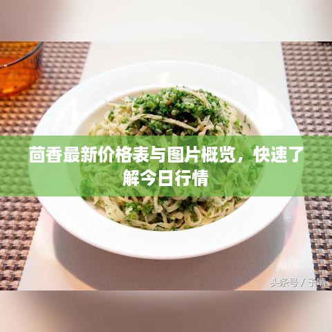 茴香最新价格表与图片概览，快速了解今日行情