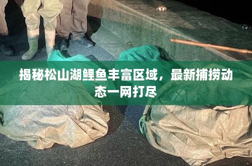 揭秘松山湖鲤鱼丰富区域，最新捕捞动态一网打尽