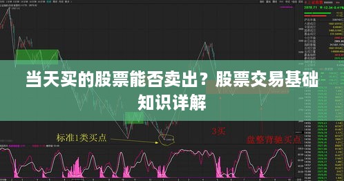 当天买的股票能否卖出？股票交易基础知识详解