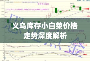 义乌库存小白菜价格走势深度解析