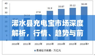 浠水县充电宝市场深度解析，行情、趋势与前景展望