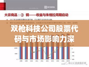 双枪科技公司股票代码与市场影响力深度解析