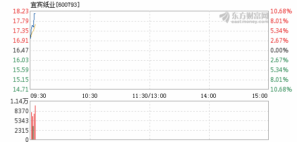 宜宾纸业最新招聘信息全面解析