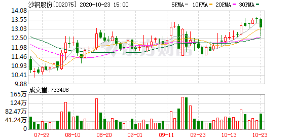 25日沙钢股份最新状况,公司概况