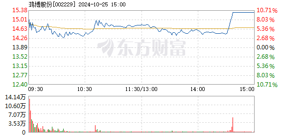 鸿博股份最新消息及公司概况概览