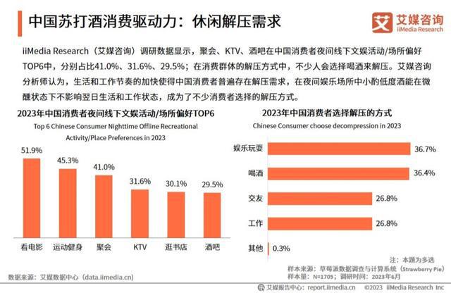 最新苏打酒制作指南，从初学者到进阶用户的必备教程