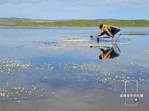 探索自然美景之旅，最新小度在家价格与心灵对话之旅启程