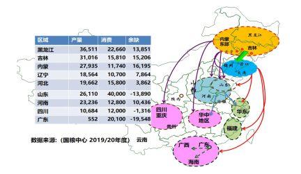 全国城市最新疫情动态与深度思考，某某观点下的探析