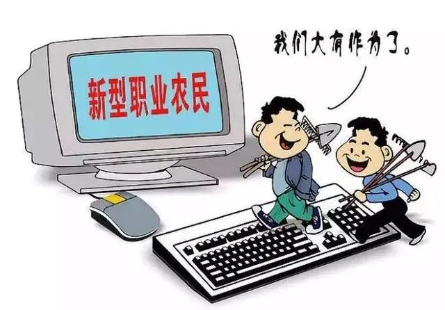 农小飞新篇章，学习变革的力量与自信的飞跃（2024年11月14日最新）