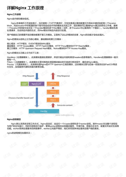 494949澳门今晚开什么454411,理论考证解析_BAY79.463趣味版