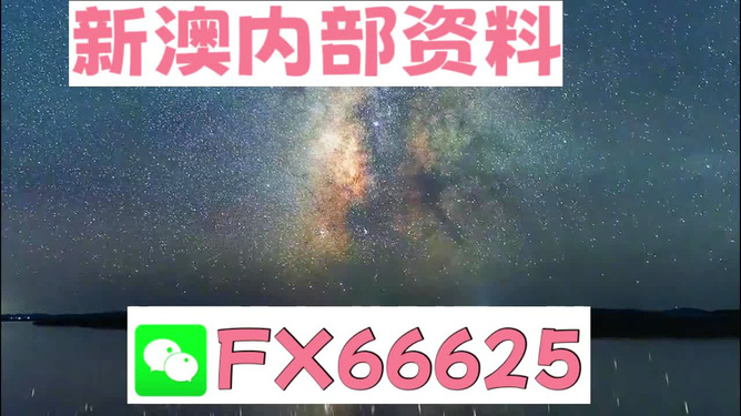 2024新澳天天彩资料免费提供,决策支持方案_OTJ79.805户外版