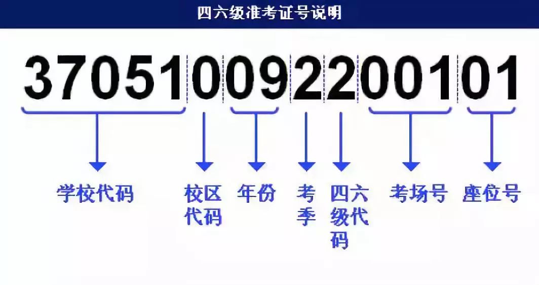 25049.0cm新奥彩40063,快速解答方案设计_YKI79.658掌中宝