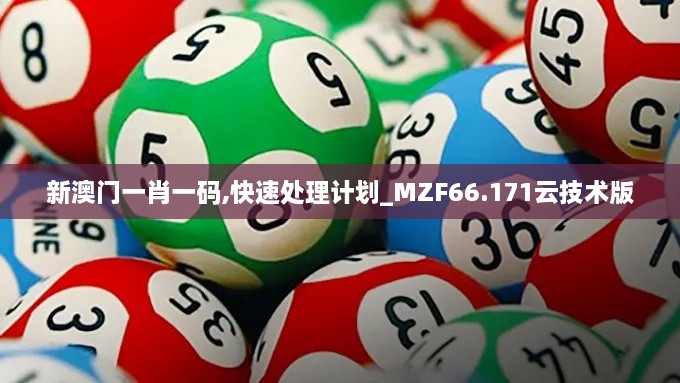 新澳门一肖一码,快速处理计划_MZF66.171云技术版