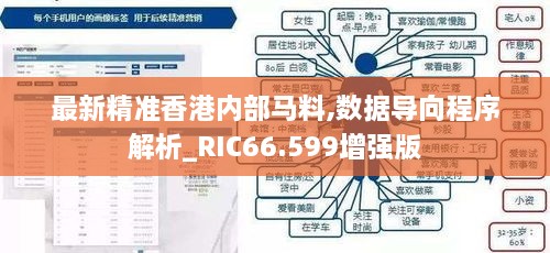 最新精准香港内部马料,数据导向程序解析_RIC66.599增强版