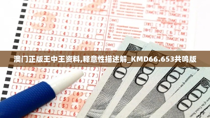 澳门正版王中王资料,释意性描述解_KMD66.653共鸣版