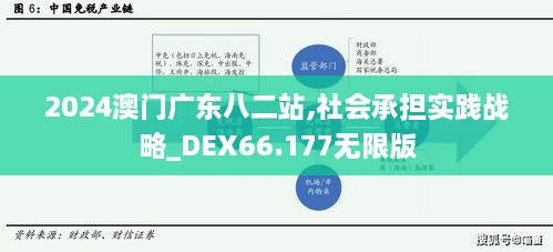 2024澳门广东八二站,社会承担实践战略_DEX66.177无限版