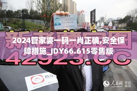 2024管家婆一码一肖正确,安全保障措施_JDY66.615零售版