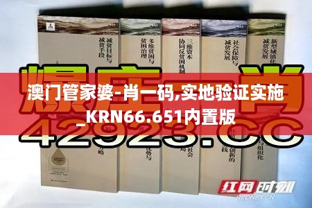 澳门管家婆-肖一码,实地验证实施_KRN66.651内置版