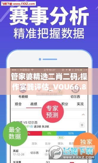 管家婆精选二肖二码,操作实践评估_VOU66.895豪华款