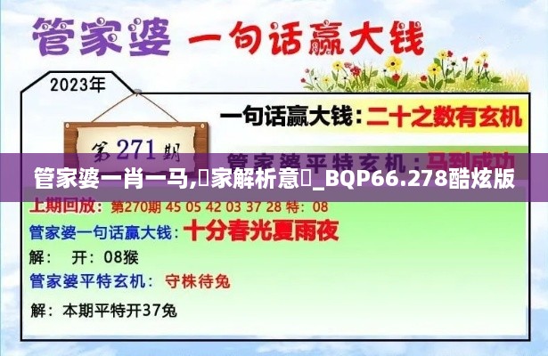 管家婆一肖一马,專家解析意見_BQP66.278酷炫版