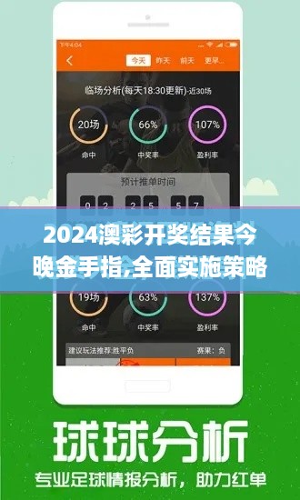 2024澳彩开奖结果今晚金手指,全面实施策略设计_WVR66.394程序版