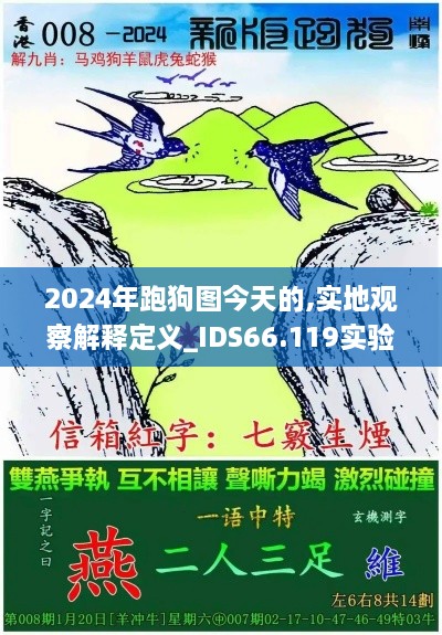 2024年跑狗图今天的,实地观察解释定义_IDS66.119实验版