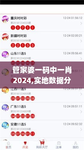 管家婆一码中一肖2024,实地数据分析计划_YNI7.14.44通行证版