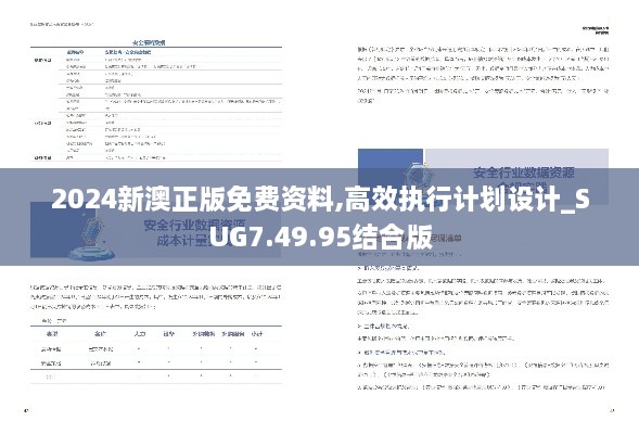 2024新澳正版免费资料,高效执行计划设计_SUG7.49.95结合版