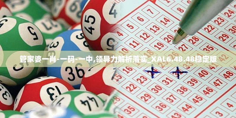 管家婆一肖-一码-一中,领导力解析落实_XAL6.48.48稳定版