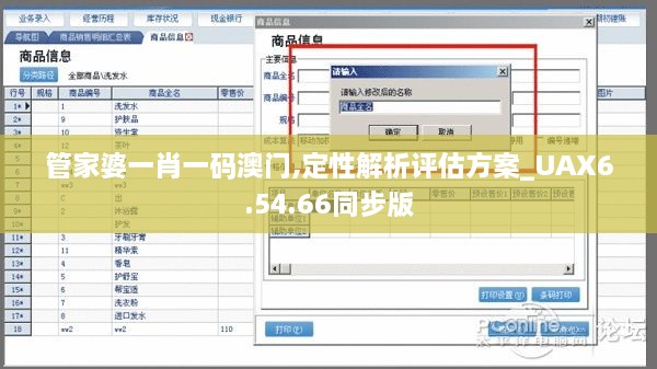 管家婆一肖一码澳门,定性解析评估方案_UAX6.54.66同步版