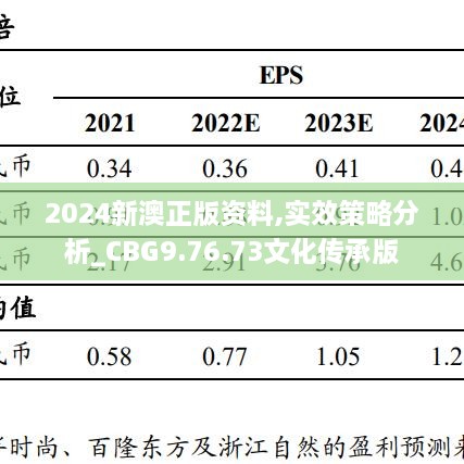 2024新澳正版资料,实效策略分析_CBG9.76.73文化传承版