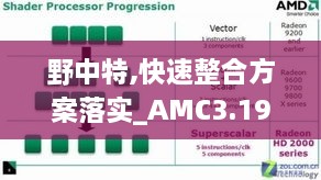 野中特,快速整合方案落实_AMC3.19.87计算能力版