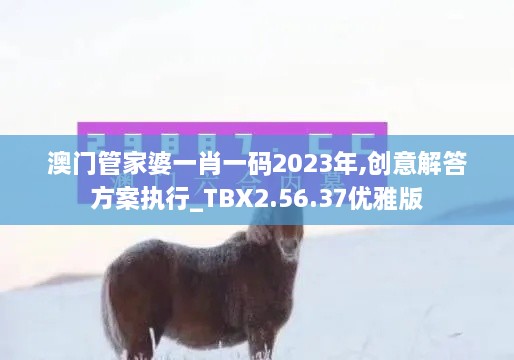 澳门管家婆一肖一码2023年,创意解答方案执行_TBX2.56.37优雅版