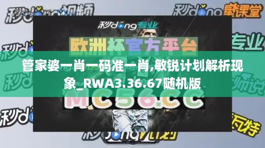 管家婆一肖一码准一肖,敏锐计划解析现象_RWA3.36.67随机版