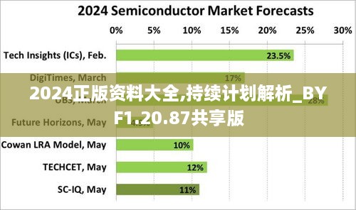 2024正版资料大全,持续计划解析_BYF1.20.87共享版