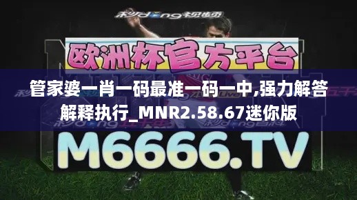 管家婆一肖一码最准一码一中,强力解答解释执行_MNR2.58.67迷你版