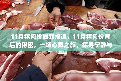 探寻宁静与自然宝藏，揭秘猪肉市场背后的秘密与最新行情分析