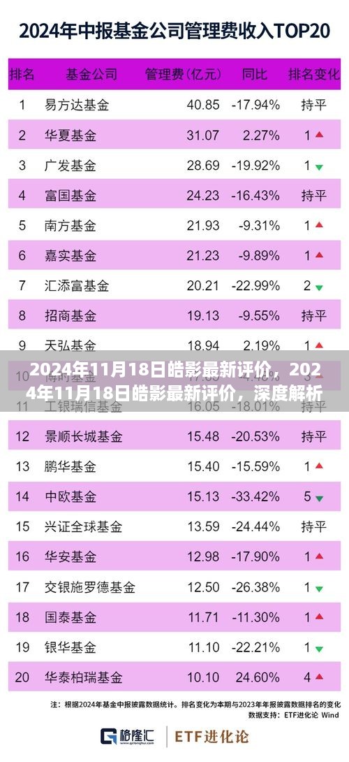 独家深度解析，皓影系列产品独特魅力，最新评价出炉（2024年11月18日）