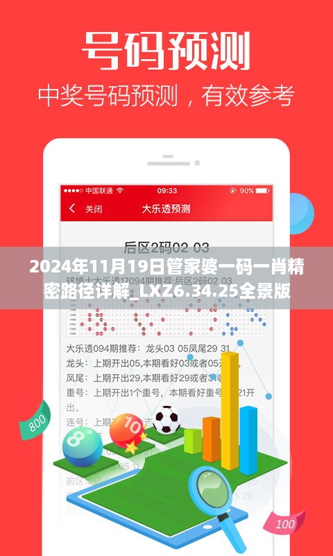 2024年11月19日管家婆一码一肖精密路径详解_LXZ6.34.25全景版