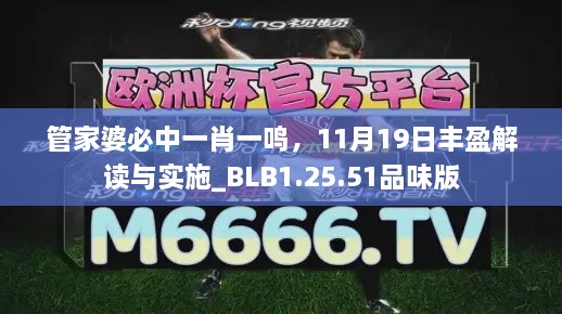 管家婆必中一肖一鸣，11月19日丰盈解读与实施_BLB1.25.51品味版