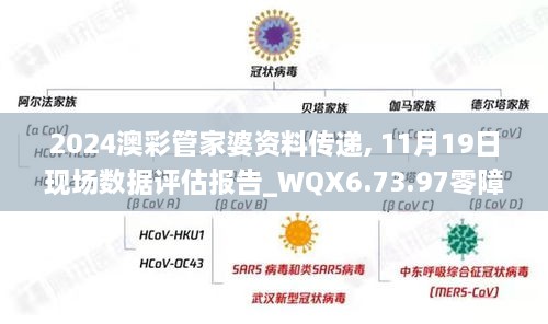 2024澳彩管家婆资料传递, 11月19日现场数据评估报告_WQX6.73.97零障碍版