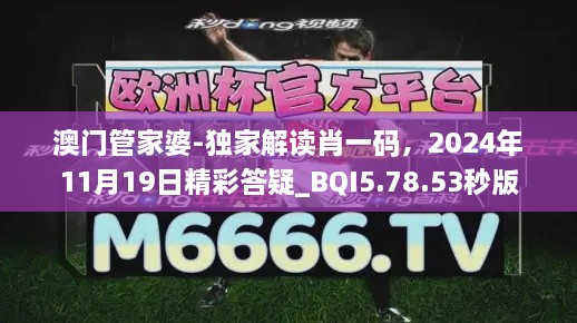 澳门管家婆-独家解读肖一码，2024年11月19日精彩答疑_BQI5.78.53秒版