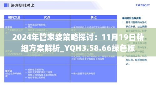 2024年管家婆策略探讨：11月19日精细方案解析_YQH3.58.66绿色版