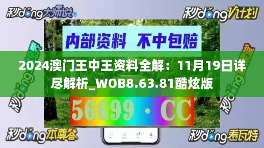 2024澳门王中王资料全解：11月19日详尽解析_WOB8.63.81酷炫版